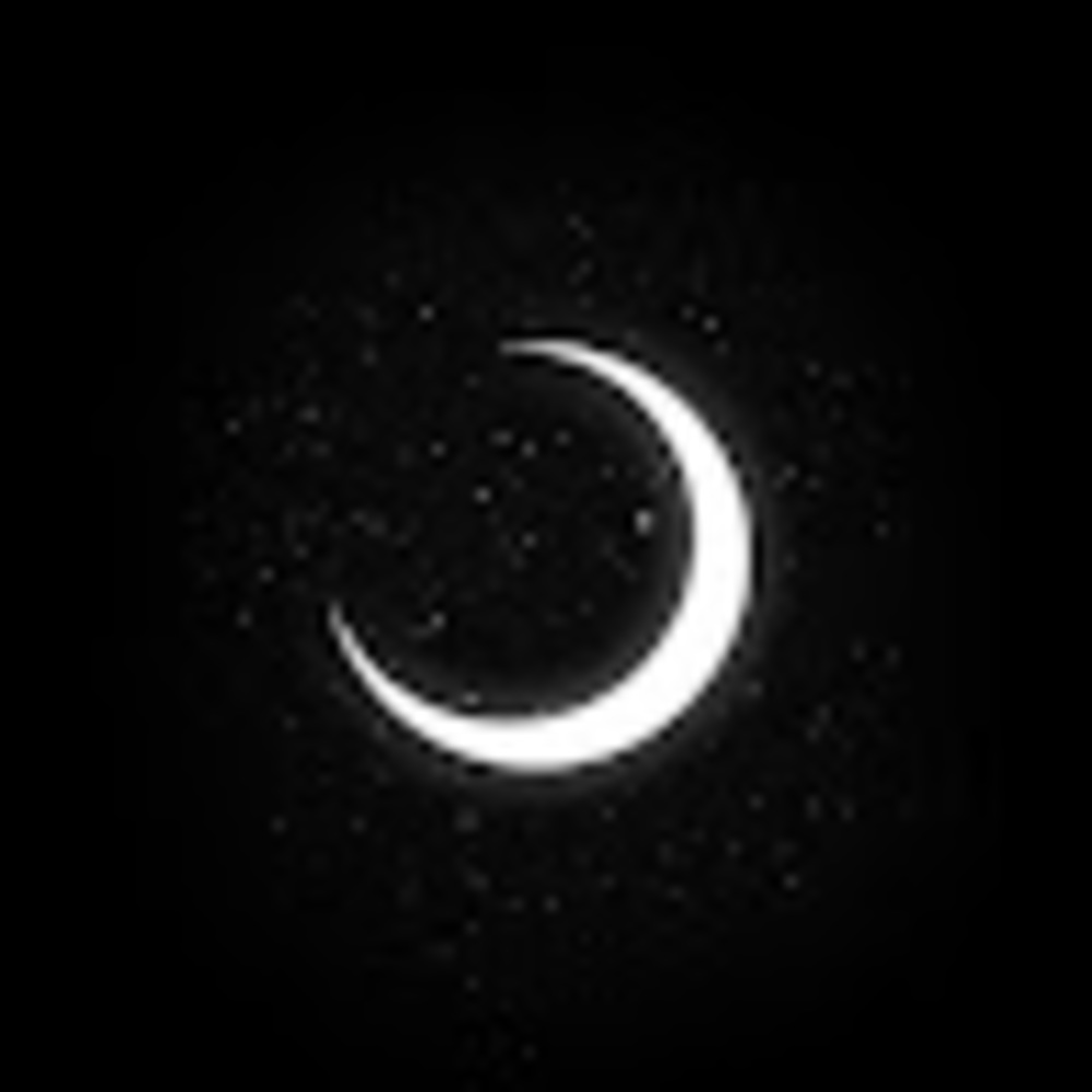 Meet your Posher, Madelyn